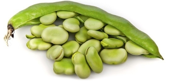  작두콩차 효능과 부작용을 알아볼게요