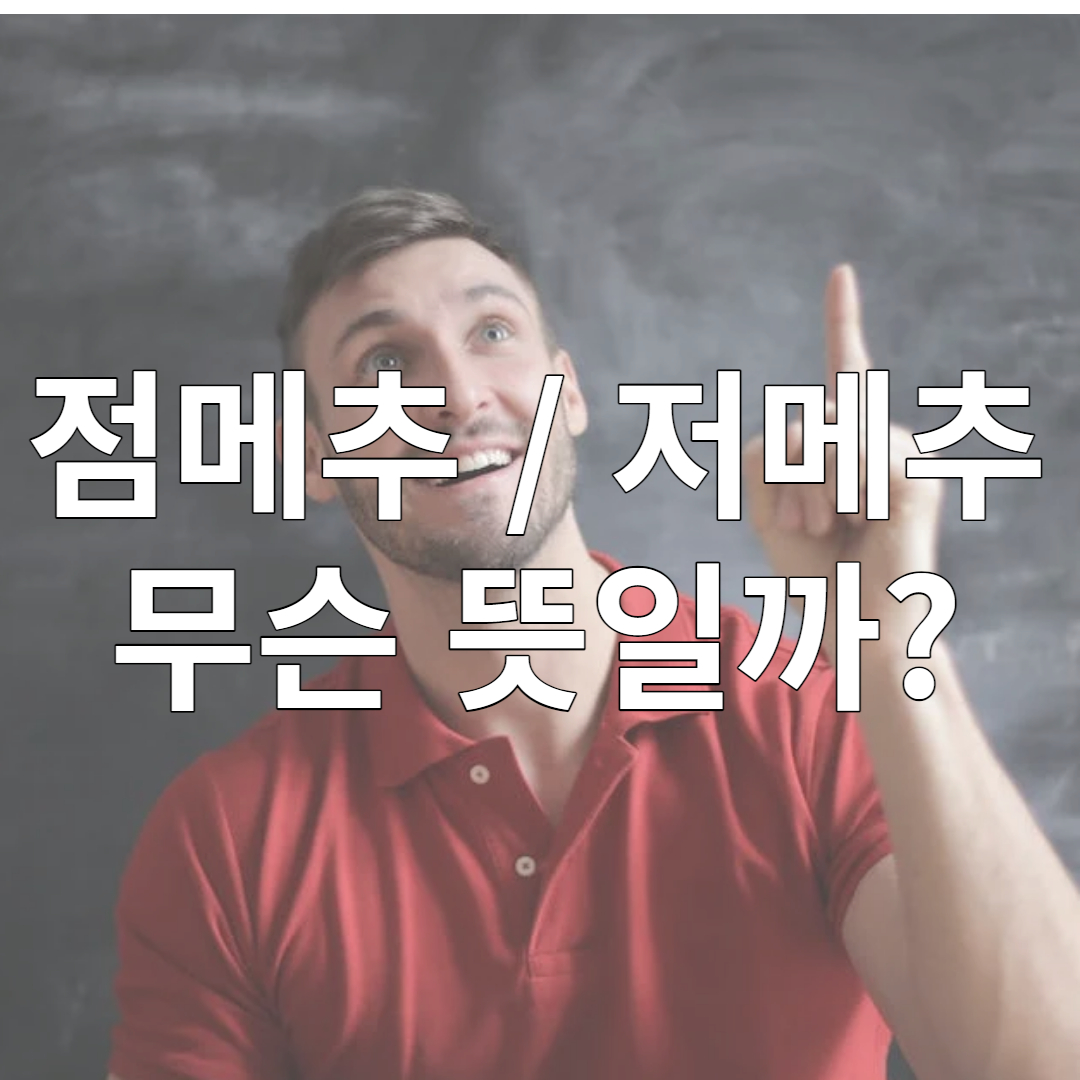 점메추 저메추 뜻