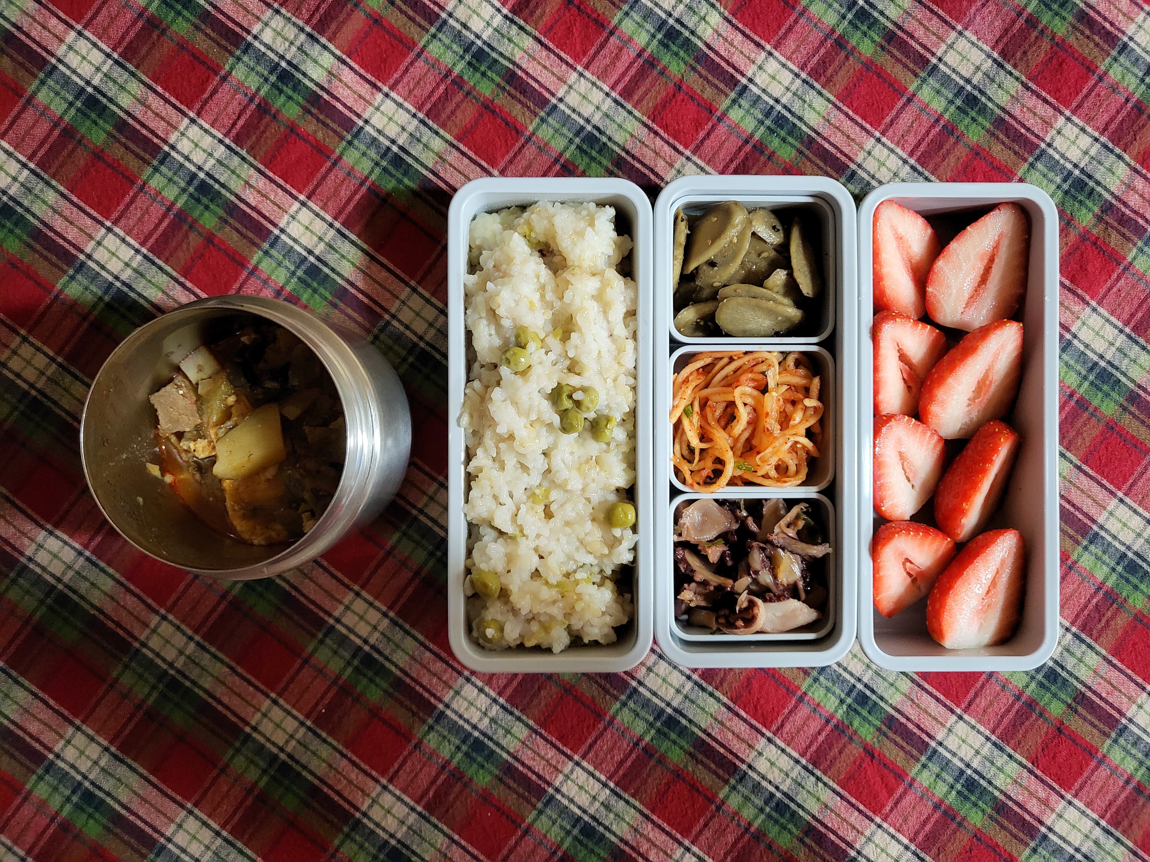 2022.11.29 남편 점심 도시락 메뉴 | 돼지감자찌개, 깻잎김치, 무생채, 우엉조림, 딸기