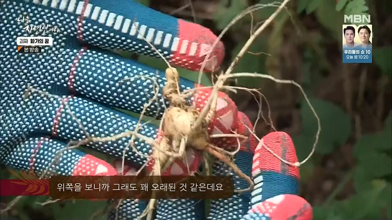 나는 자연인이다.E524.221019.H265p-BULDU.mp4_20221020_174032.007.jpg