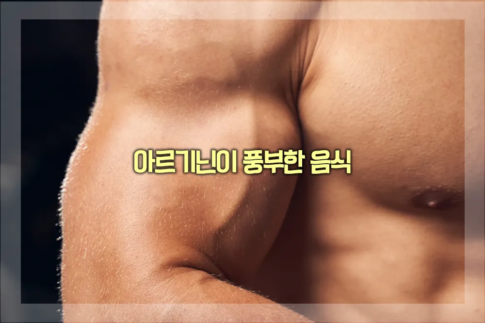 아르기닌이 풍부한 음식