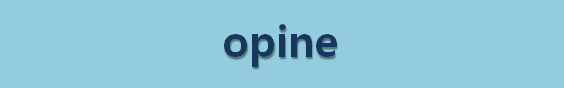  뉴스로 영어 공부하기: opine (의견을 밝히다)