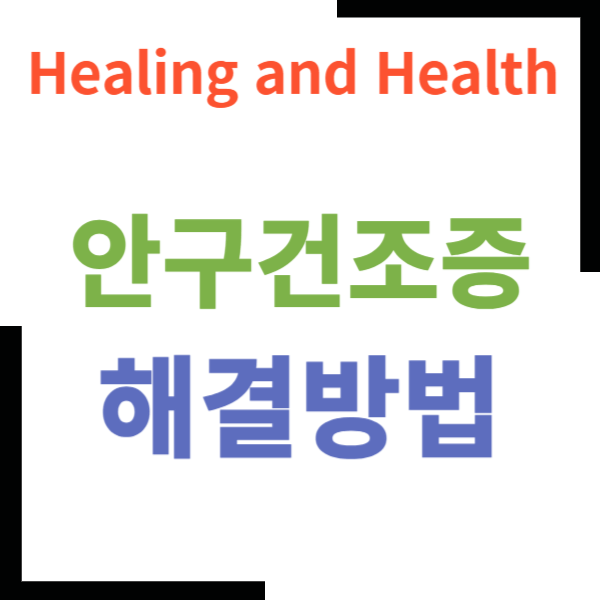 안구건조증 마이봄샘