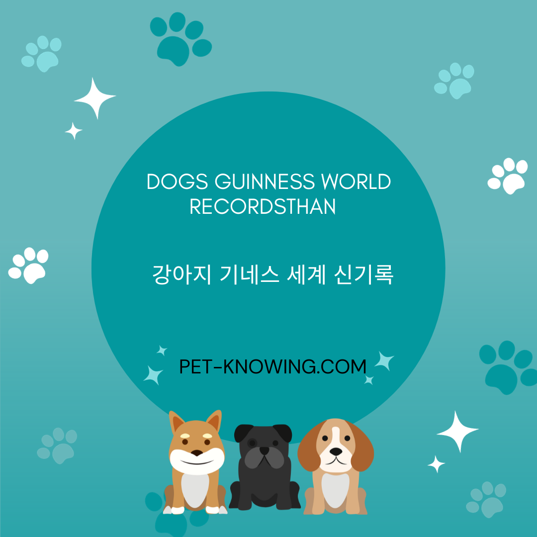 강아지 기네스 세계 신기록