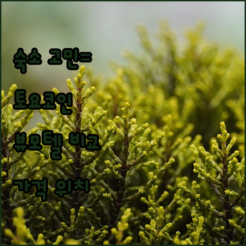 대구 숙소 고민 해결 토요코인 호텔부