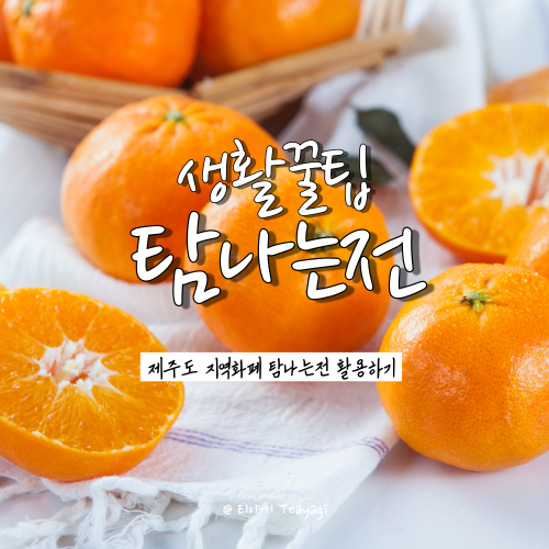  탐나는전 발급 방법 및 혜택 총정리 (feat. 제주 한달살기, 제주여행 필수 준비물)