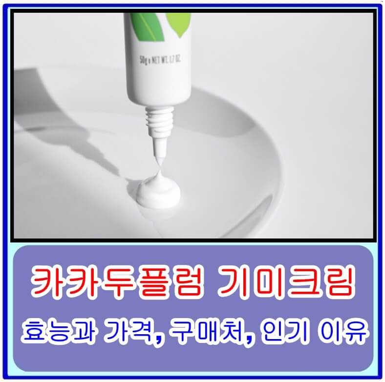  카카두플럼 기미크림의 효능과 가격, 성분, 구매처, 인기 이유