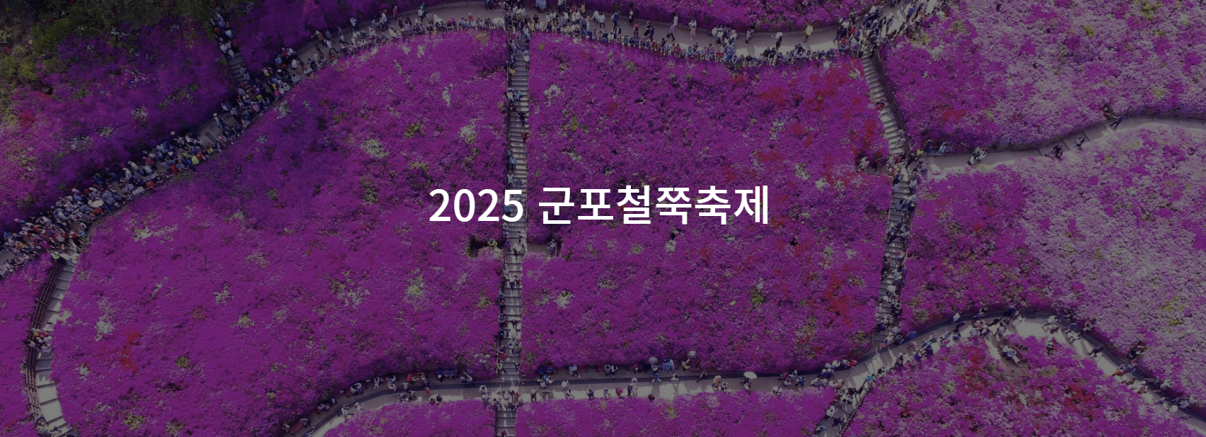 군포철쭉축제
