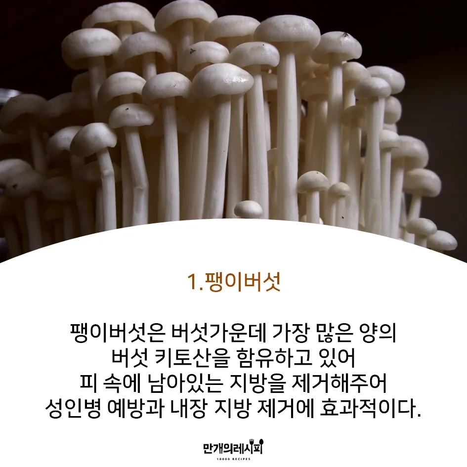 팽이버섯 효능_8