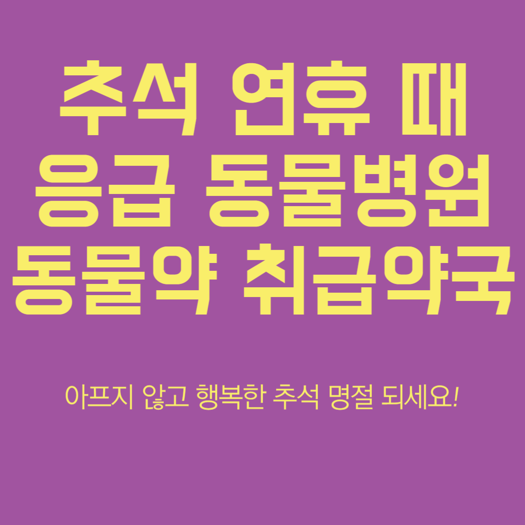 추석 연휴 응급 동물 병원 약국 찾기