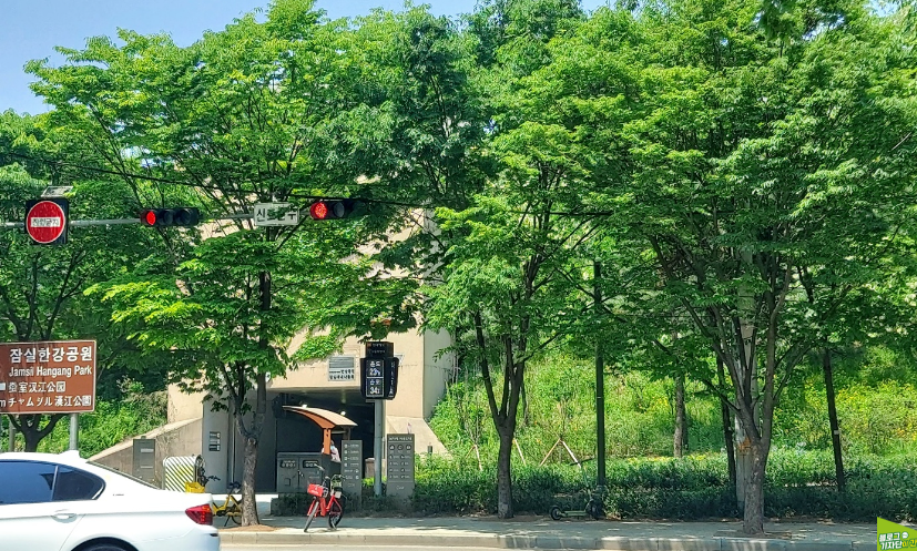 잠실 자연형 물놀이장 개장