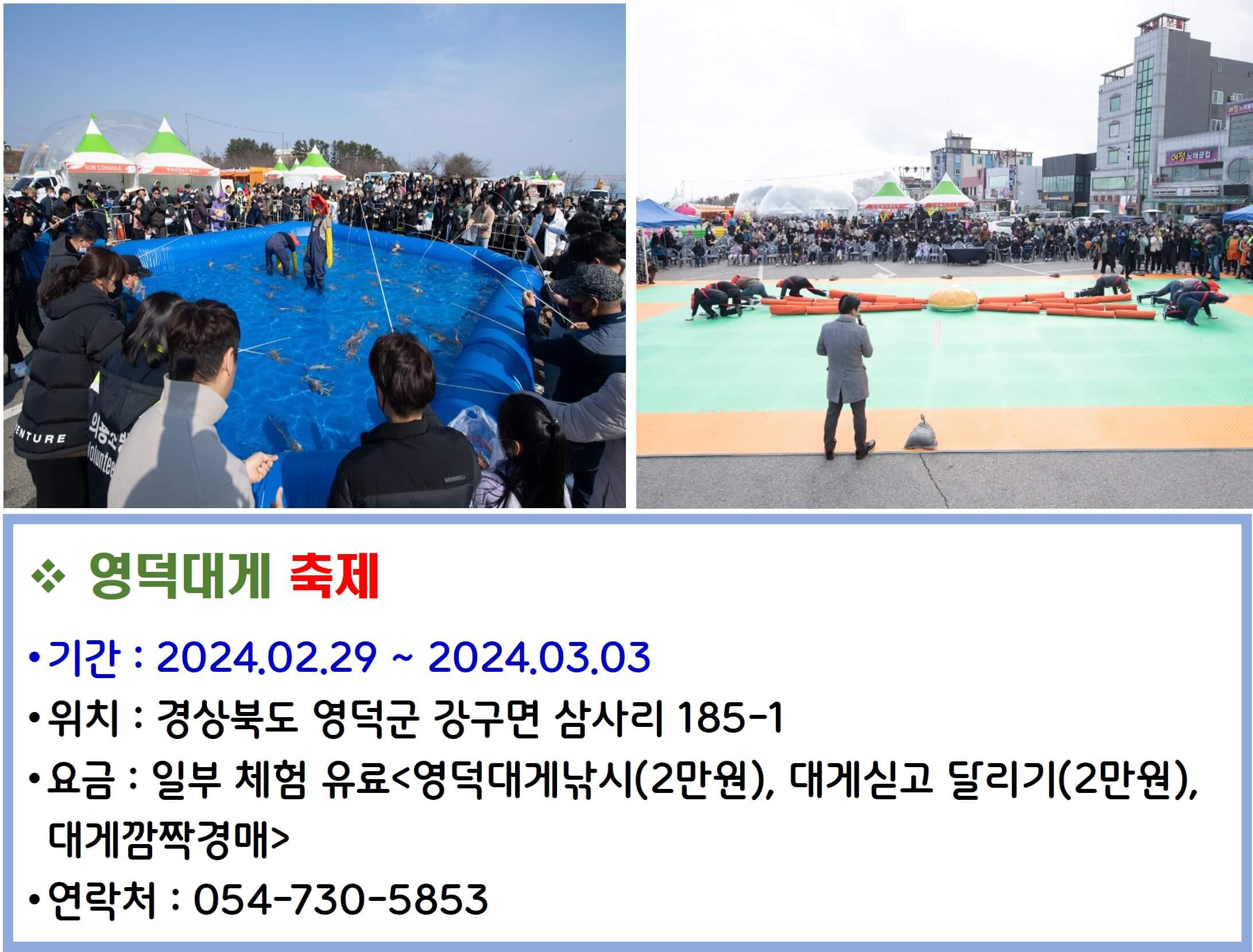 영덕대게 축제