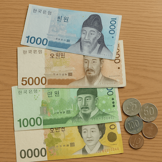 민생회복 소비쿠폰