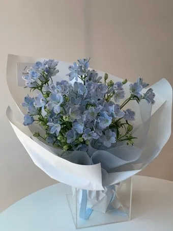 예쁜 꽃말 추천 모음 이해할수록 매력적인 꽃들의 꽃말 안내 모음_18
