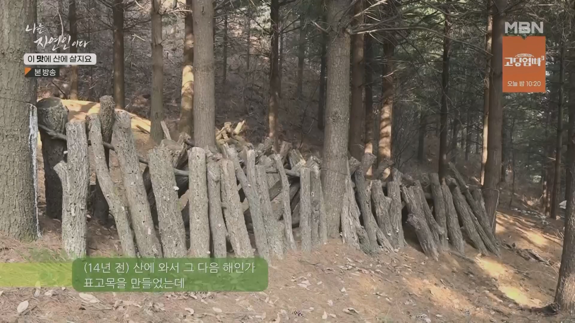 나는 자연인이다.E550.230419p.H264-F1RST.mp4_20230420_195642.249.jpg