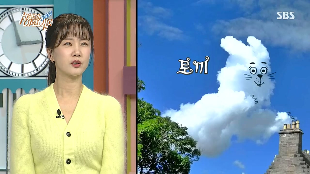 순간포착 세상에 이런일이.E1203.221026p.H264-F1RST.mp4_20221026_185311.439.jpg