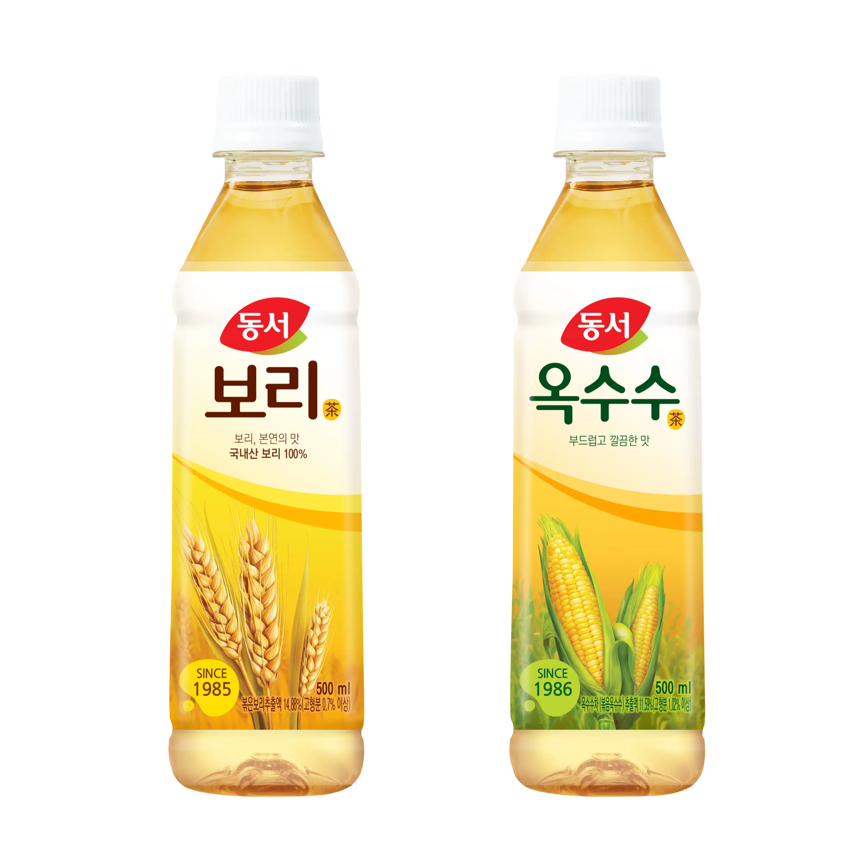  보리차 효능과 주의사항
