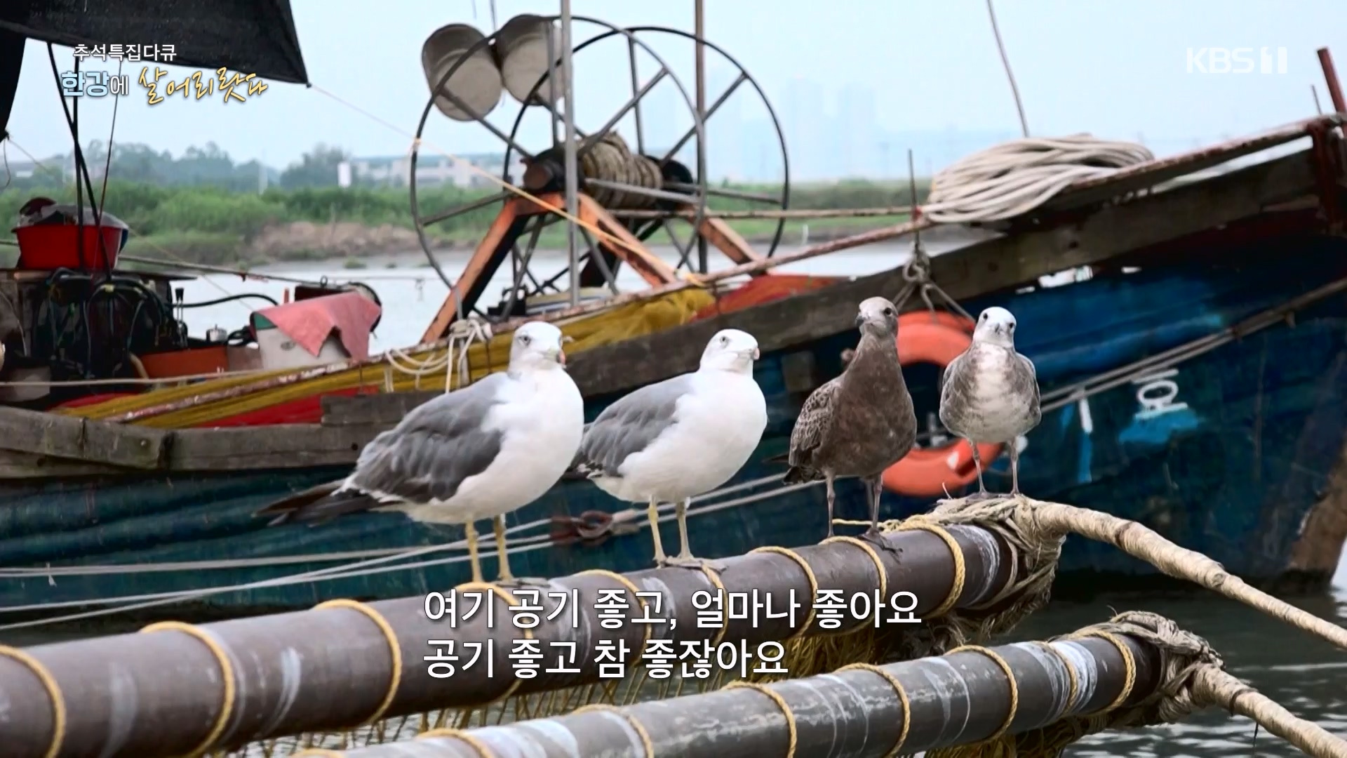 추석 특집 다큐 1부 - 한강에 살어리랏다.E01.230928p-NEXT.mp4_20230929_152312.733.jpg