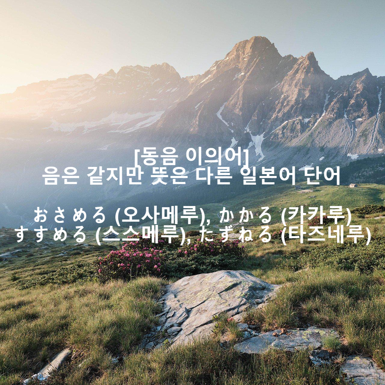 동음 이의어 음은 같지만 뜻은 다른 일본어 단어 おさめる かかる すすめる たずねる