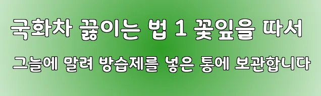 국화차 끓이는 법 1 꽃잎을 따서 그늘에 말려 방습제를 넣은 통에 보관합니다