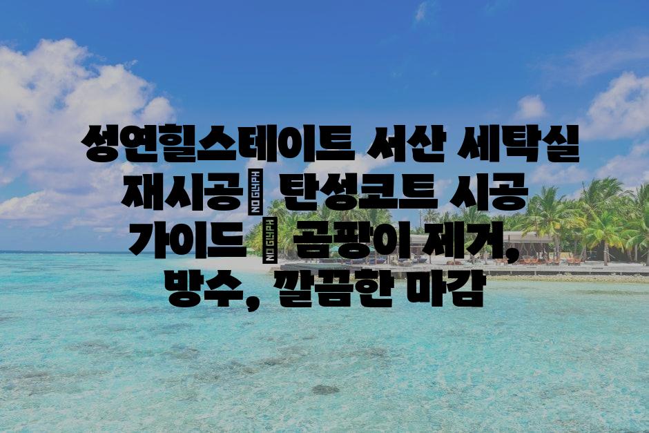 샘플 (72)