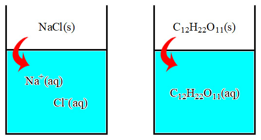 electrolyte and non-electrolyte