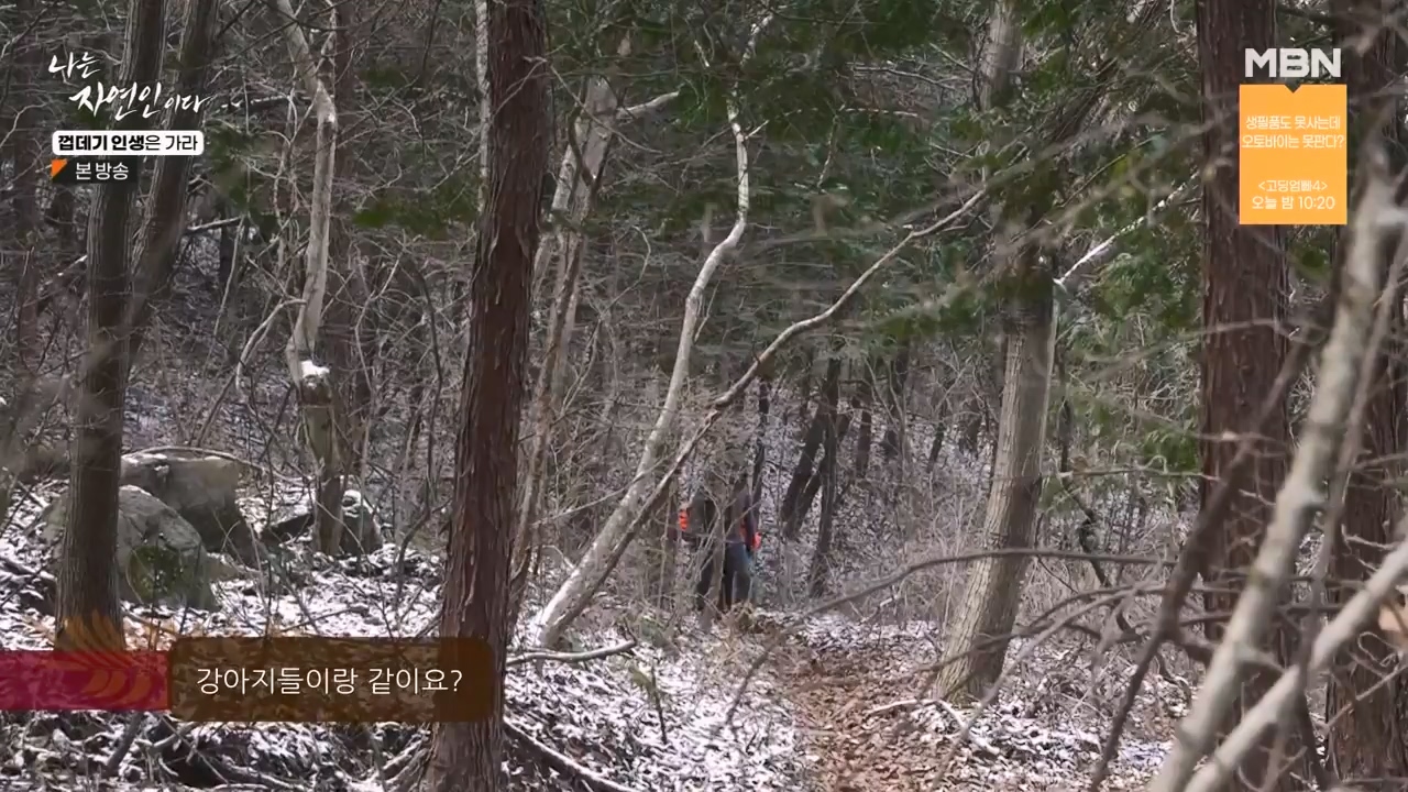 나는 자연인이다.E590.240125p-NEXT.mp4_20240125_200038.007.jpg