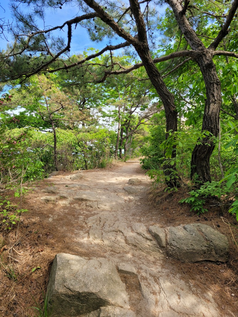 홍성 용봉산 등산코스 홍성 용봉산 6