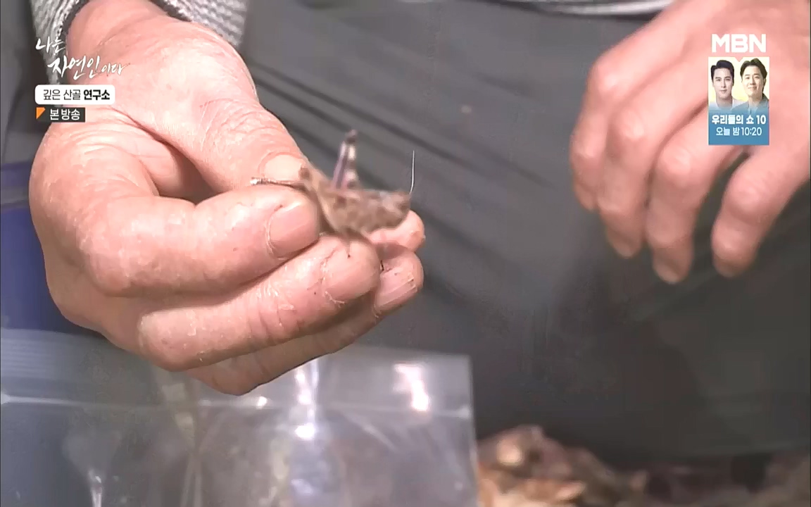 나는 자연인이다.E523.221013p.WANNA.mp4_20221013_201130.020.jpg