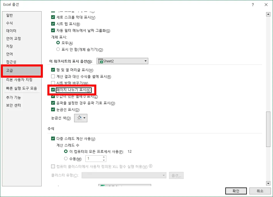 엑셀 옵션에서 고급에서 페이지 나누기 표시에 빨간 네모 표시한 모습