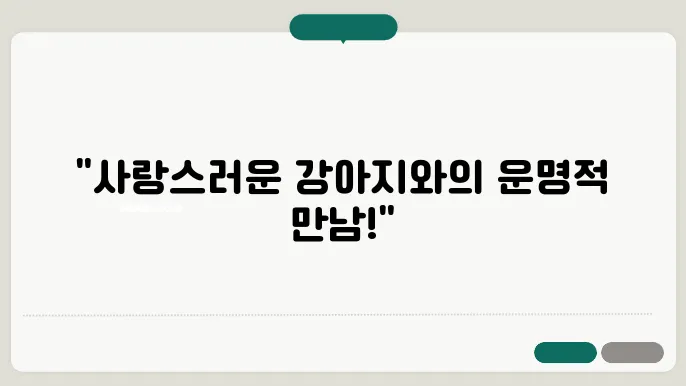 강아지보호소 특별한 만남 논산강아지보호소