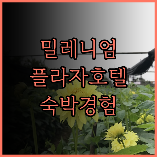 밀레니엄 플라자 호텔에서의 완벽한 숙