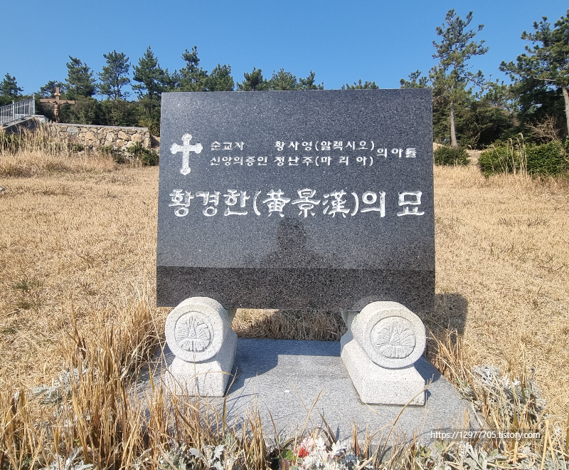 묘 이미지