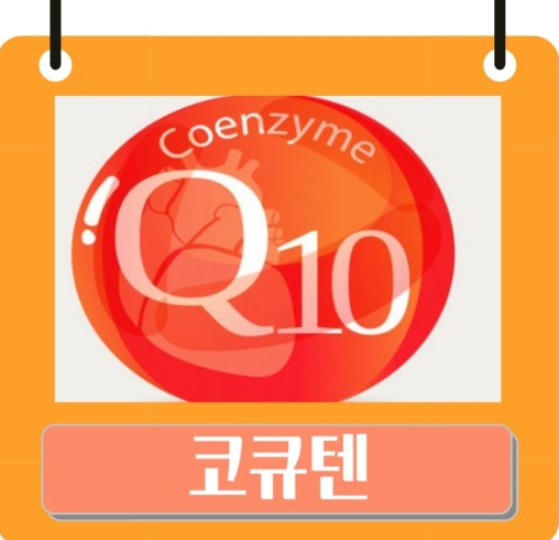 코큐텐 효능 커큐민 (코엔자임큐텐효능)