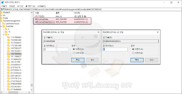 DWORD 값 지정