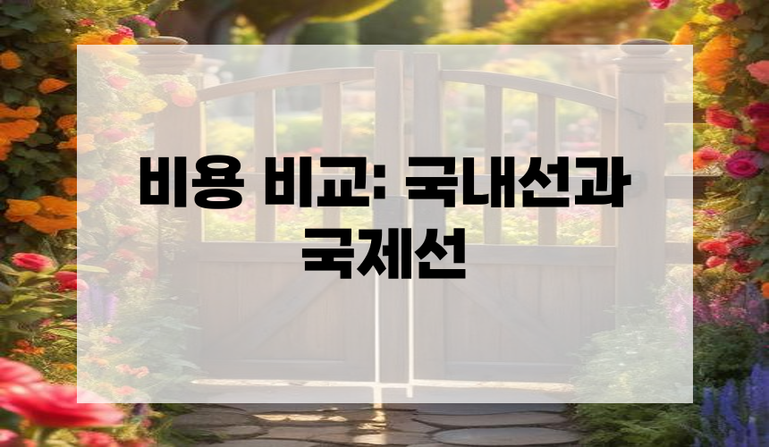 비용 비교: 국내선과 국제선