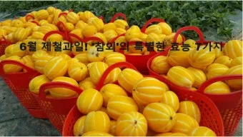 6월 제철 과일 추천 여름 과일 종류_19