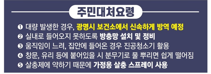 러브버그 살충제