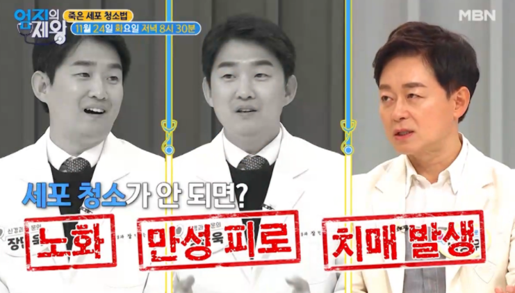  체중감량 비만 다이어트예방 오토파지주스 레시피 오토파지모방오토파지식단죽은세포청소법  뇌건강꿀잠에좋식품감태우유마늘양파꿀절임껍질물뱃살빼는청바지주스효능