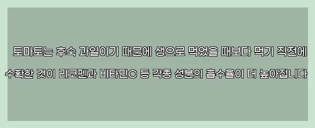  토마토는 후숙 과일이기 때문에 생으로 먹었을 때보다 먹기 직전에 수확한 것이 리코펜과 비타민C 등 각종 성분의 흡수율이 더 높아집니다