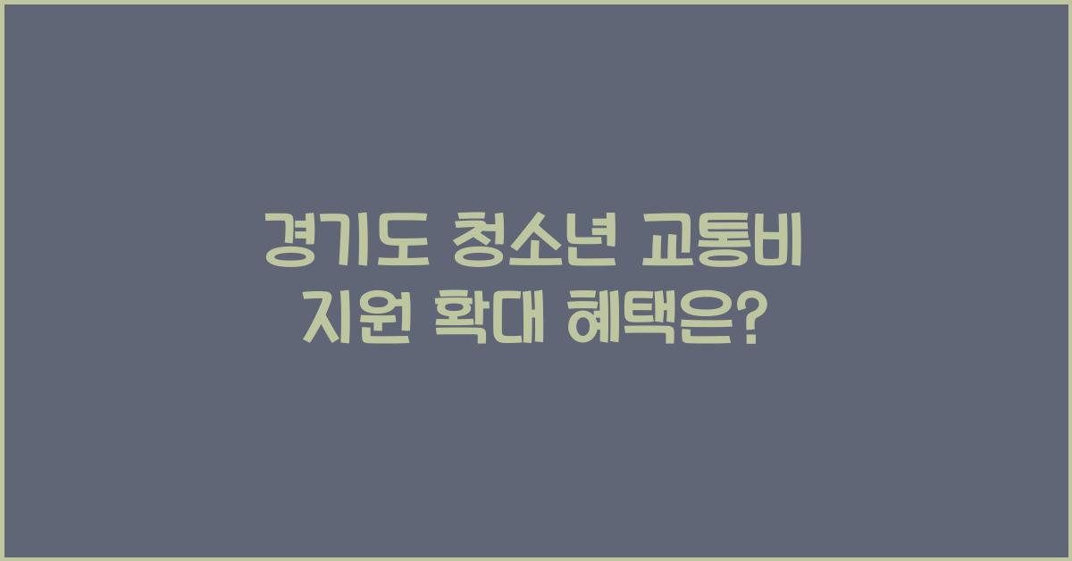 경기도 청소년 교통비