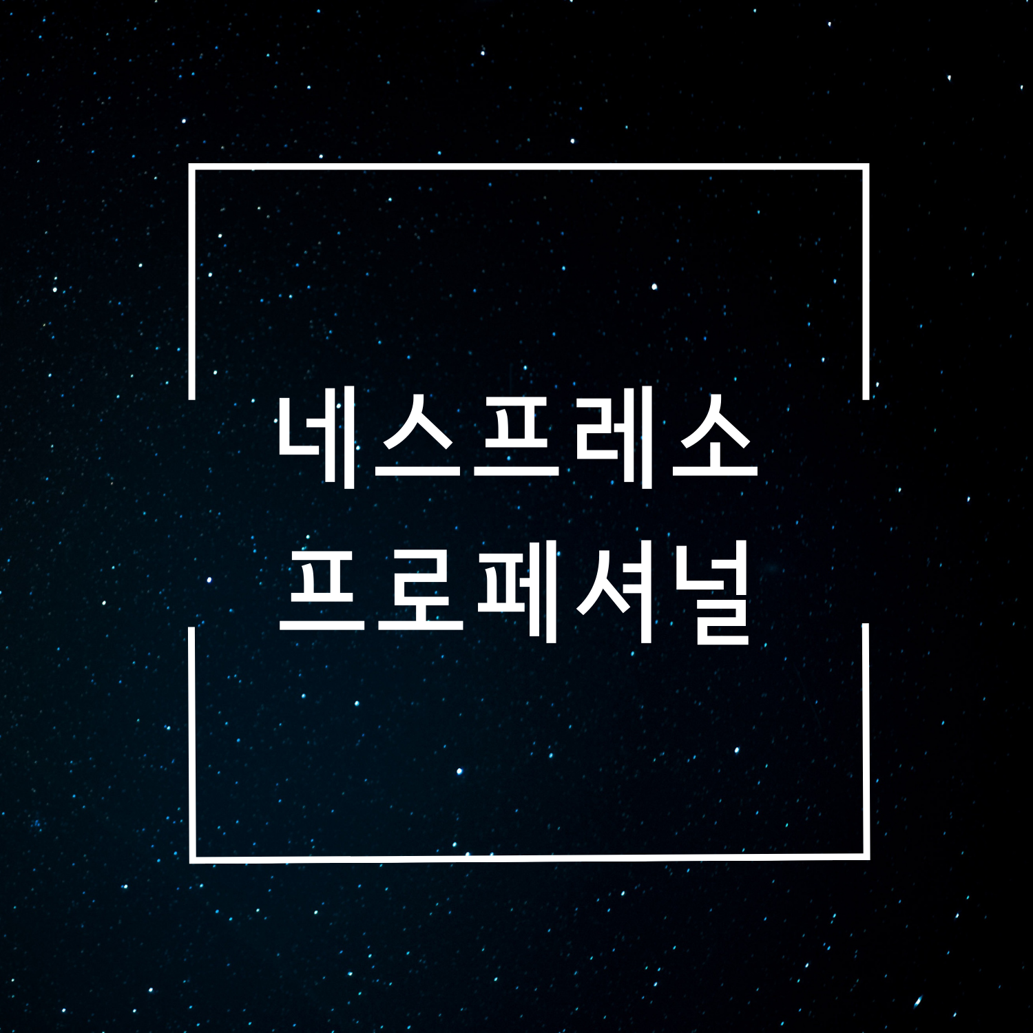  네스프레소 프로페셔널 머신의 종류와 특징 가격 알아보기