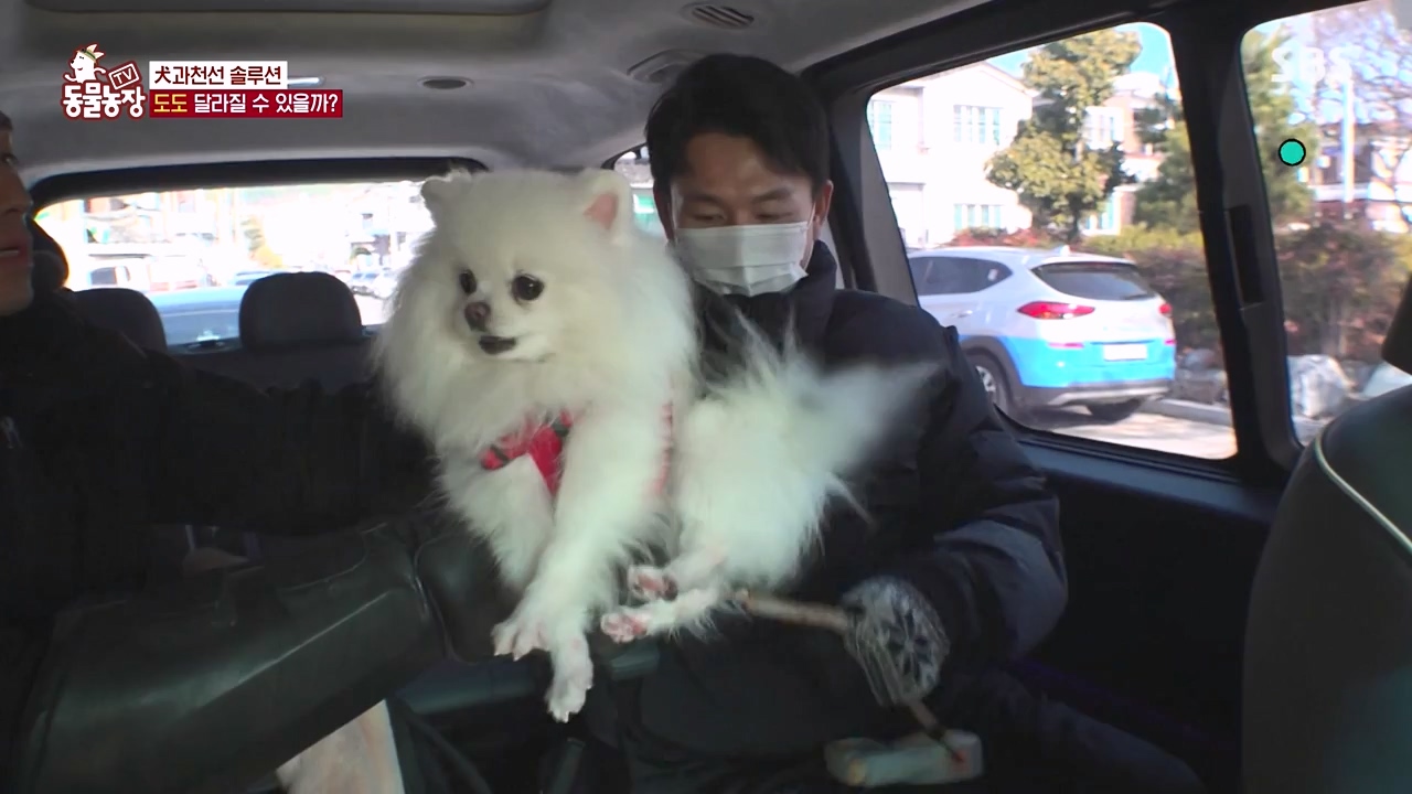 TV 동물농장.E1155.240122p-NEXT.mp4_20240121_145943.371.jpg