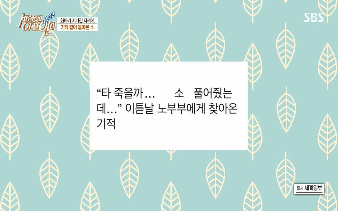 순간포착 세상에 이런일이.E1174.220406p-NEXT.mp4_20220406_173937.862.jpg