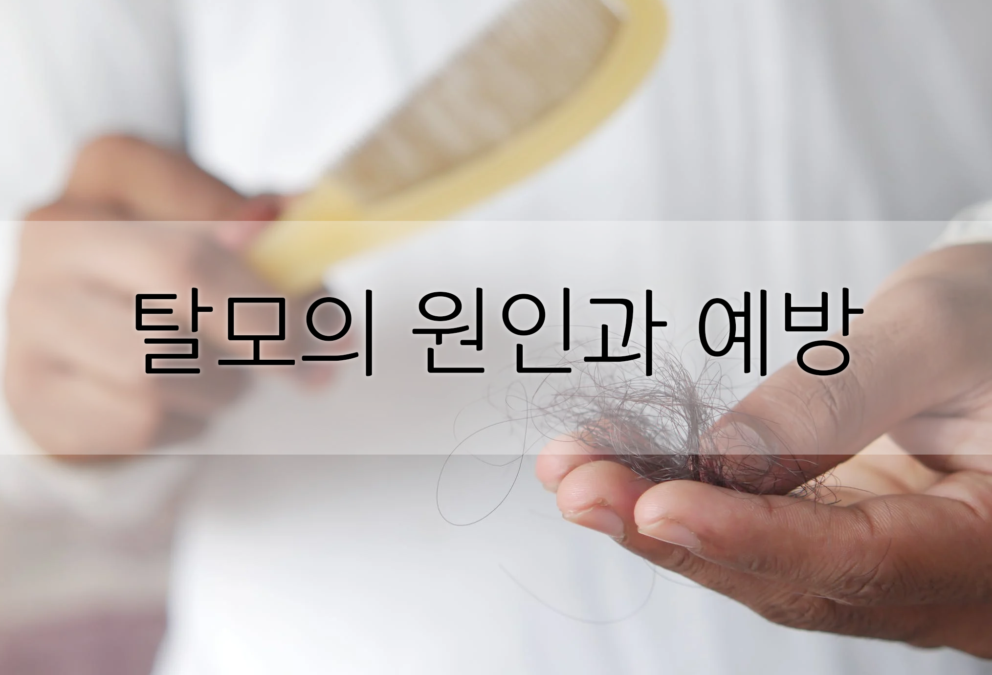  탈모의 원인과 예방 방법에 대해 알아보자.