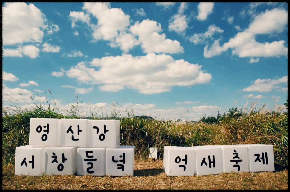  광주 서창 억새축제 : 도심속에서 자연으로 치유되는 생태환경축제
