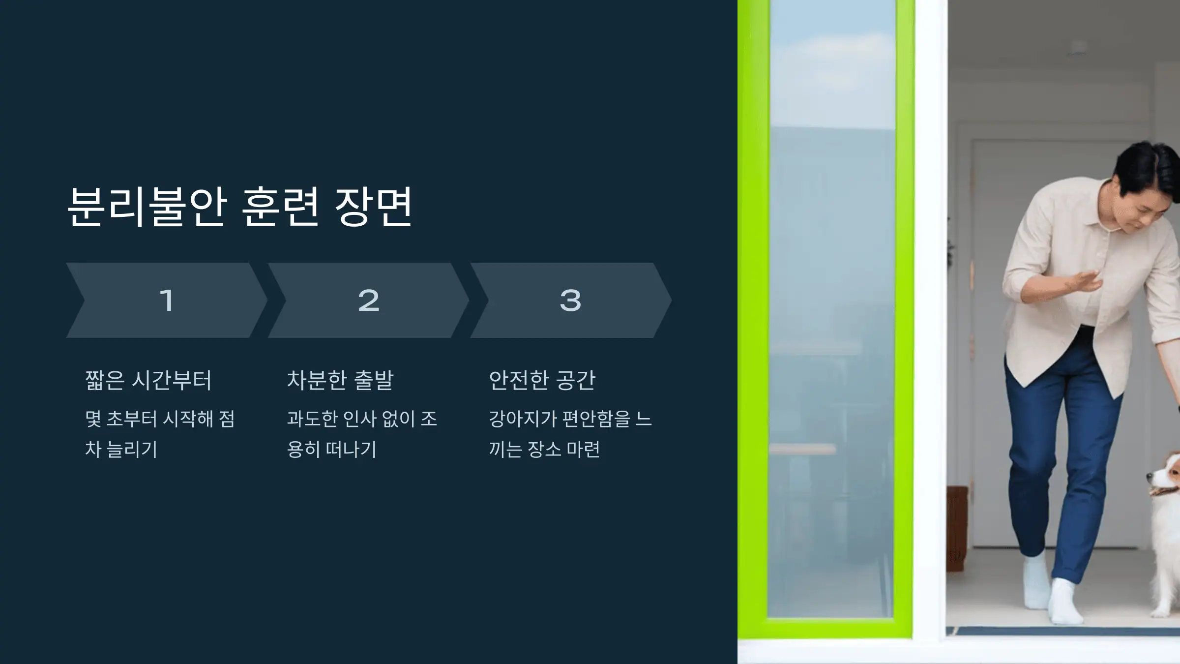 분리불안 훈련 장면