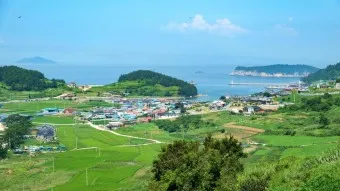 완도 청산도 배시간표 요금 배편 예약_15