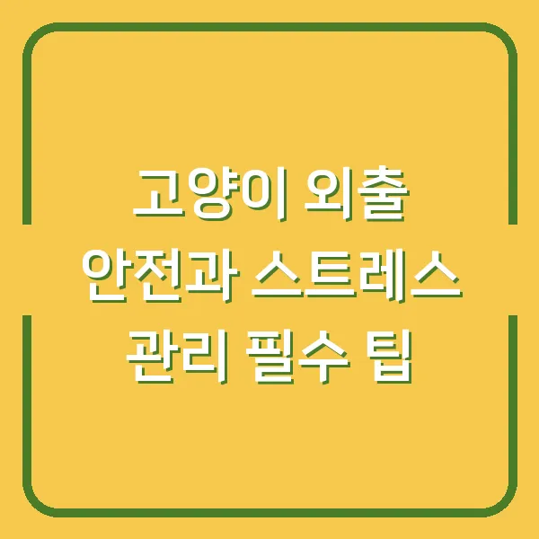 고양이 외출 안전과 스트레스 관리 필수 팁
