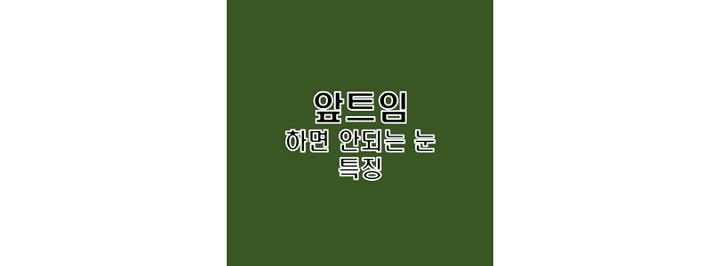  쌍커풀 수술 앞트임 하면 안되는 어울리지 않는 눈 특징